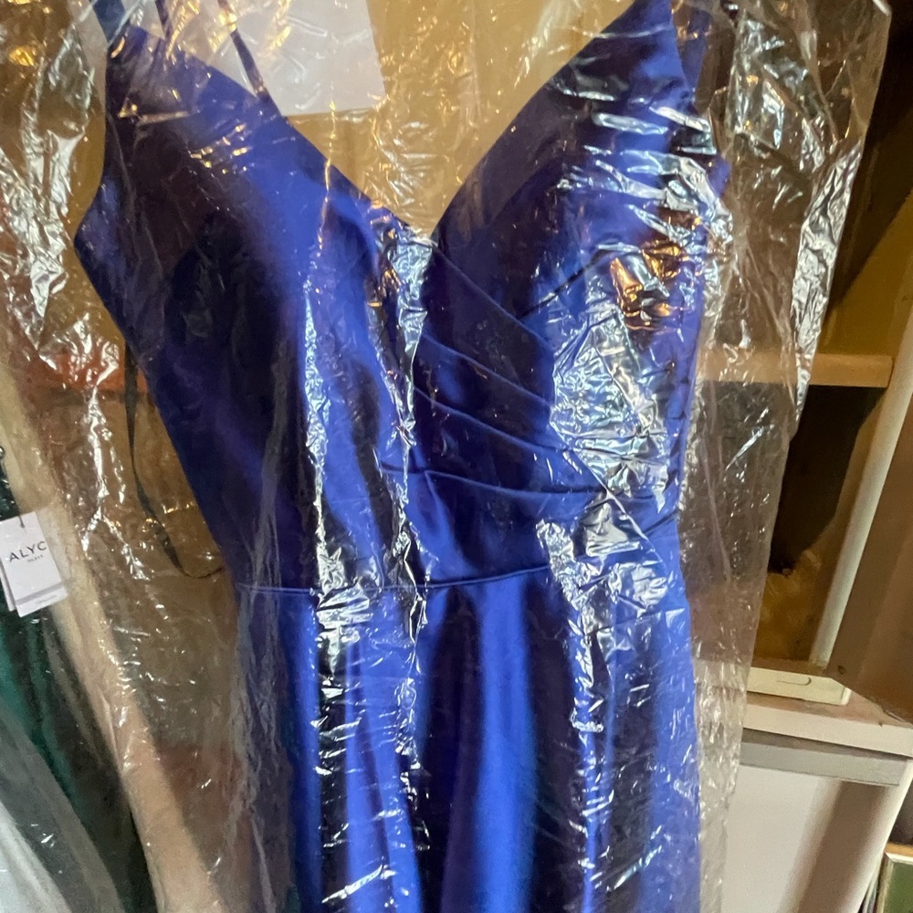 Pageant/Prom dress - Picture 5 of 5